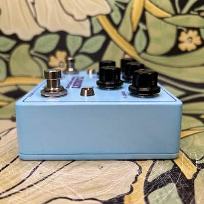 Benson Amps + Non-Human Audio Florist image 4