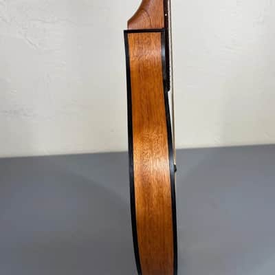 Custom-Built Flat-Back Mandolin with Case image 7