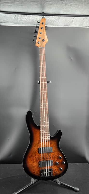 Schecter C-5 StandardTobacco Burl image 1