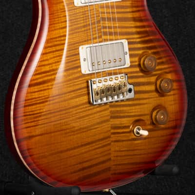 Paul Reed Smith DGT 10-Top Birds - Dark Cherry Burst image 9
