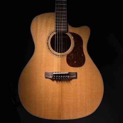 Cort All Solid Woods Gold Series A6 Auditorium w/ Fishman Flex Blend Electronics, Case image 18