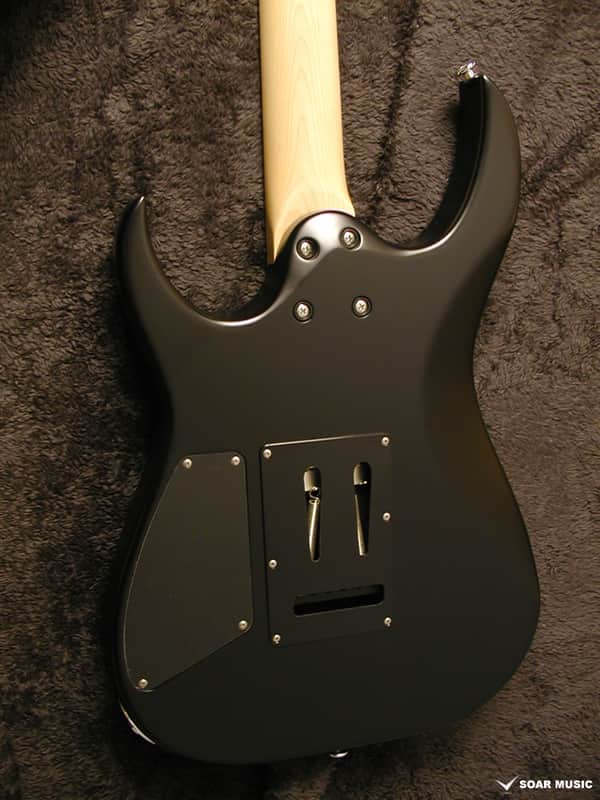 Bacchus GRACE-AT/BW - BLK-MAT Custom Series Guitar | Reverb