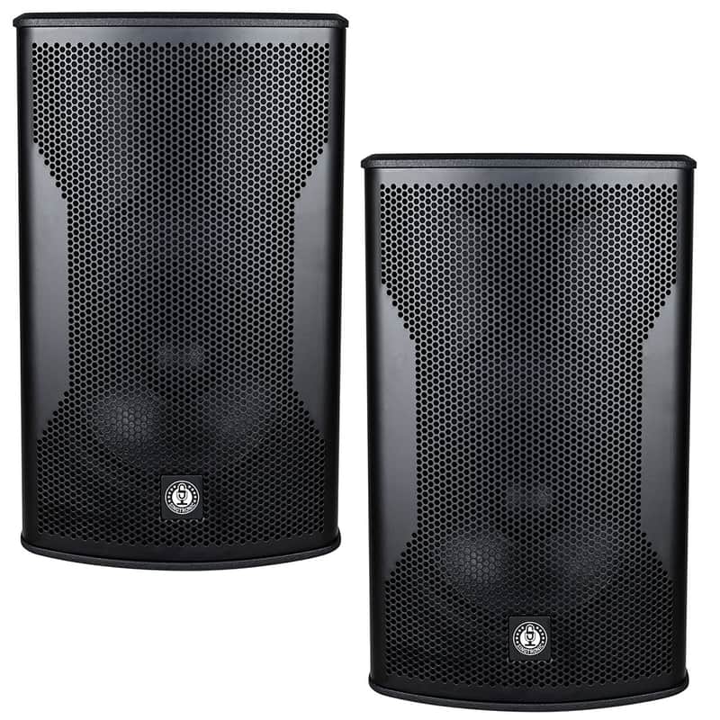 Singtronic TX-12DSP Karaoke Speaker System
