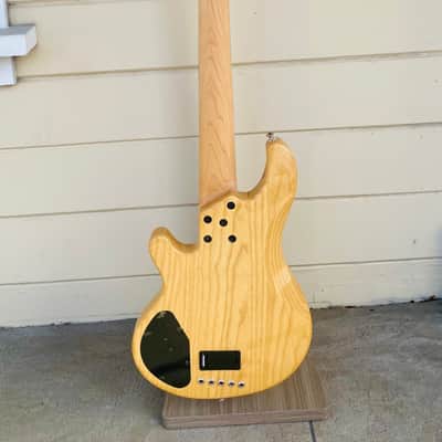 LAKLAND SKYLINE SERIES 5 STRING 55-02 DELUXE 5 STRING BASS SPALTED ROSEWOOD W/ GIG BAG - 2018 image 6
