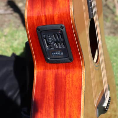 Furch Yellow Plus G-CP w/ LR Baggs Stagepro Anthem Pickup System image 9