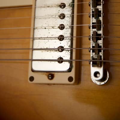 Tokai "Reborn Old " LS-GP/HOM FV 2016 Honduras mahogany image 8