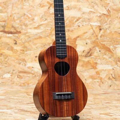 Koaloha KCM-10 Satin Concert image 3