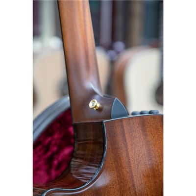 TAYLOR 312ce LTD 50th Anniversary image 8