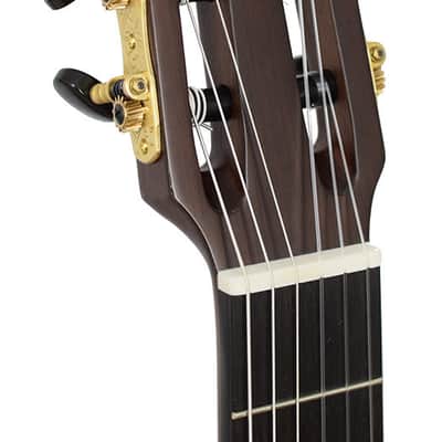 Yamaha NCX5-NT Nylon String E/A Guitar SHOWROOM image 5