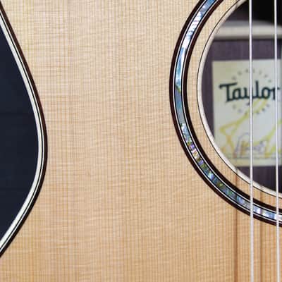 Taylor 814ce-N Nylon String Western Red Cedar Top Special Edition image 18