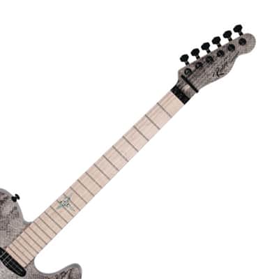 Reedoox Snake Skin-T 2014 FR Floyd Rose Unique Graphic Telecaster Electric Guitar 2 image 3
