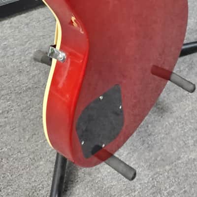 Sawtooth Heritage  2020 Sunburst image 4