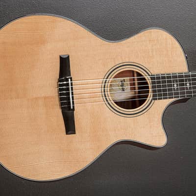 Taylor 314CE-N image 1