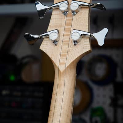 Solano Speed Shop 2025 969B-Coupe Ash Top Single Cut Bass image 6