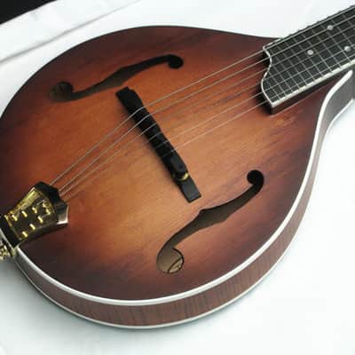 GOLD TONE GM-6+ GM6+ LEFT HANDED acoustic electric MANDOLIN w/ CASE - LEFTY image 4