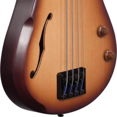 Ibanez SRH500F Bass Workshop Fretless 4-String Bass Guitar, Panga Panga Fingerboard, Natural Browned Burst Flat image 4