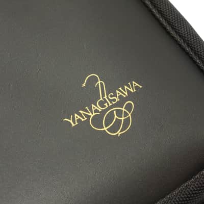 【Special price】 Yanagisawa A-WO10 [AW010] Professional Alto Saxophone image 18