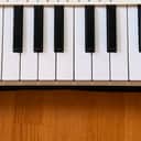 Arturia MicroLab 25-Key MIDI Controller 2019 - Present - Black
