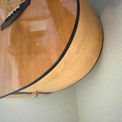 Garrison G25 Dreadnought Acoustic Guitar with extras image 12