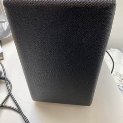 Cornell Romany hand-wired 10watt image 11