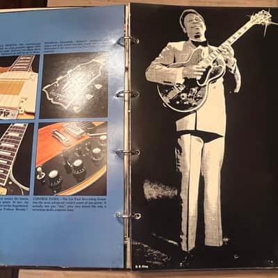 Gibson Damaged Dealer catalog colored cover version 1975 image 14