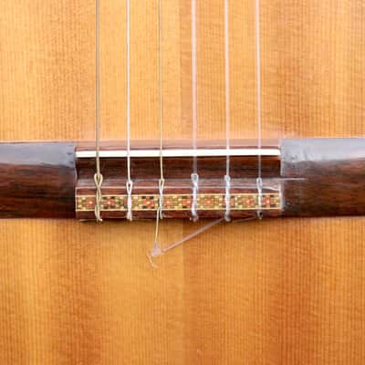 (Bridge Lift) 1960's Solid Top MIJ Classical By Hotaka (For Barnes & Mullins Distributor) No. 65 (top model) image 9