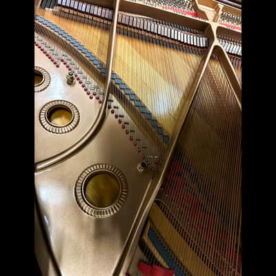 Baldwin Model M 5'2" Baby Grand Piano - Classic Woodgrain image 8