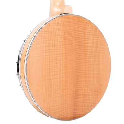 Gold Tone 6-String Deluxe Banjitar Bell Brass Tone Ring & Pickup with Hard Case image 8