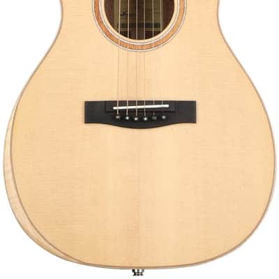 Journey Instruments First Class Parlor 13-fret Acoustic Travel Guitar with Scoop - Natural image 2