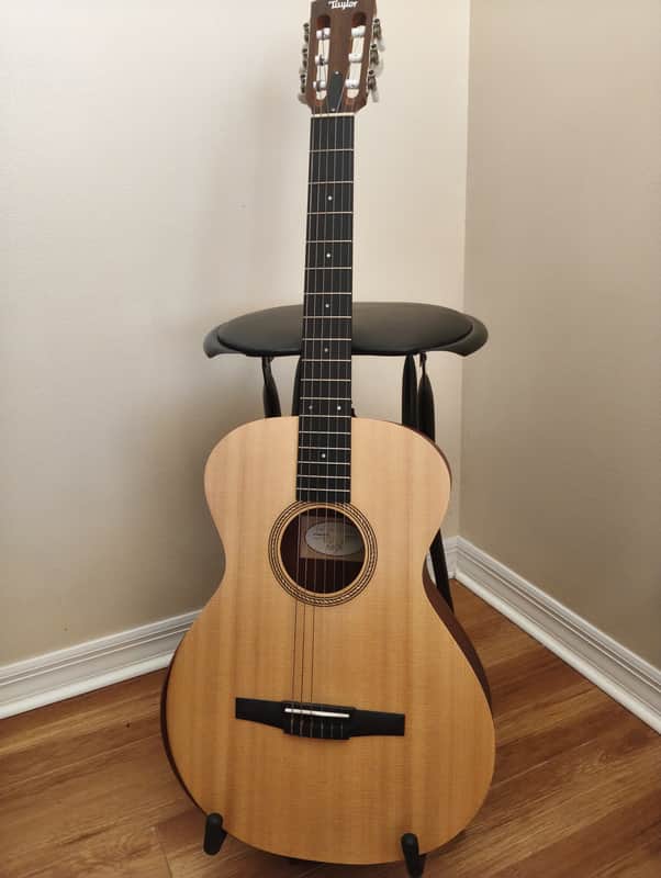 Taylor Academy 12e-N Natural with Case