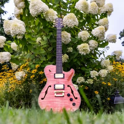 Knaggs Chena Tier 1/Pink Coral/SSC Neck image 3