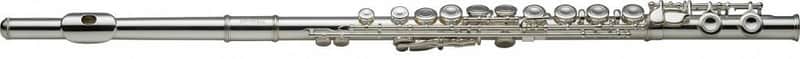 Stagg FL231 Standard C Flute with ABS Case, WS-FL231 image 1