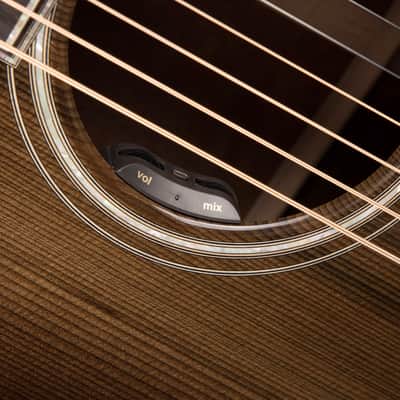Santa Cruz The Vault Series OM Style 45 - Renaissance Cedar & The Tree Mahogany image 19