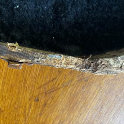 Vintage 1956 Danelectro Hardshell Case – Generously Relic'd by Time, Wildlife, and "KC" image 21