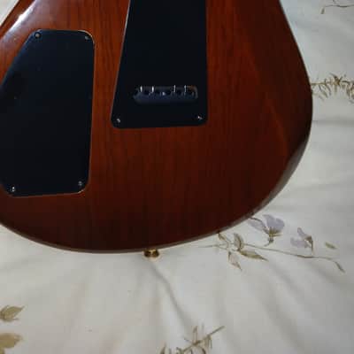 Knaggs Severn trembuck T3 2016 - Spalted maple image 4