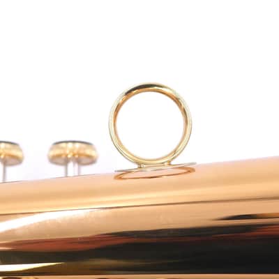 Carol Brass 6200-rss Flugelhorn - Clear Lacquer image 8