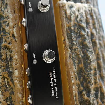 One Control Iguana Tail Loop MKIII - 5 loop with T.O. and BJF Buffer - OC-5PLV3 - NEW! image 8
