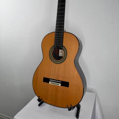 Picado Model 62 Classical Guitar w/case •made in Spain image 5