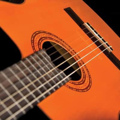 Washburn C5CE Classical Acoustic Electric Amber Top image 3
