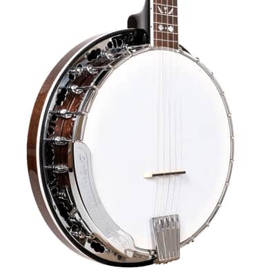 Gold Tone BG-150F Bluegrass Banjo W/ Flange and Bag image 3