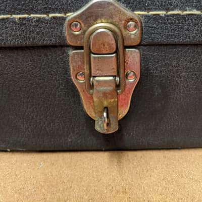 Epiphone Guitar Case image 5