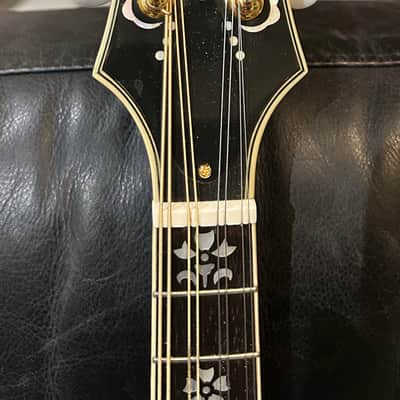 Kentucky KM-855 F Style Bluegrass Mandolin 2012 Deluxe Case Lovely Floral Shell Inlay Head and Neck image 10