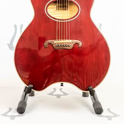 Daion The Year Series '81 Caribou - Wine Red (WR) - Electric Acoustic Six String image 1
