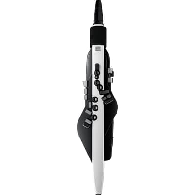 Roland Aerophone AE-20 Digital Wind Instrument image 7