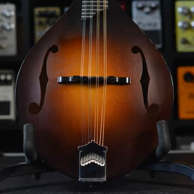 Collings MT Mandolin Left Handed 2014 - Sunburst image 3