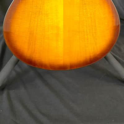 Breedlove Pursuit EX S Concert TE CE 2023 - Tigers Eye image 3