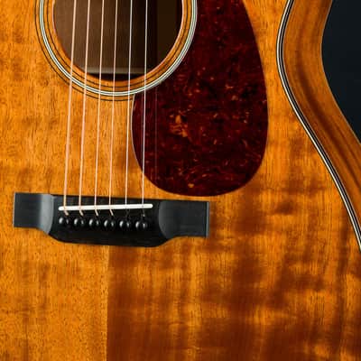Bourgeois GA Custom All Figured Mahogany Short Scale Used (2023) image 7