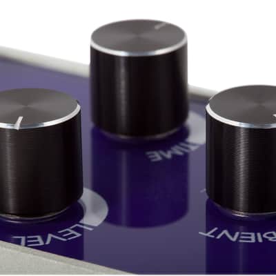Foxgear Futura Delay/Reverb image 3