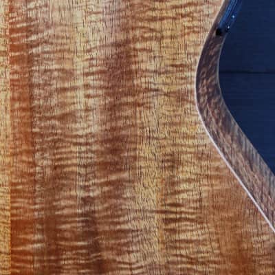 Taylor Academy 12e LTD AA Koa / Torrified Sitka Limited Availability image 8