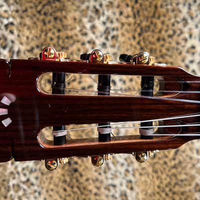Cordoba C9 Parlor Nylon String Acoustic Guitar Natural image 23